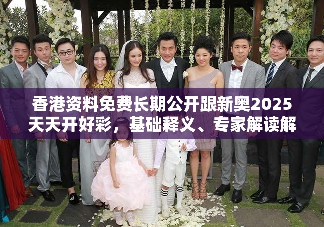 香港资料免费长期公开跟新奥2025天天开好彩，基础释义、专家解读解释与落实?抵制不实承诺危害