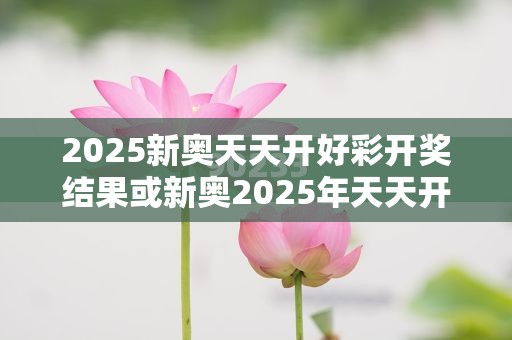 营销释义与专家解析解释 第2页
