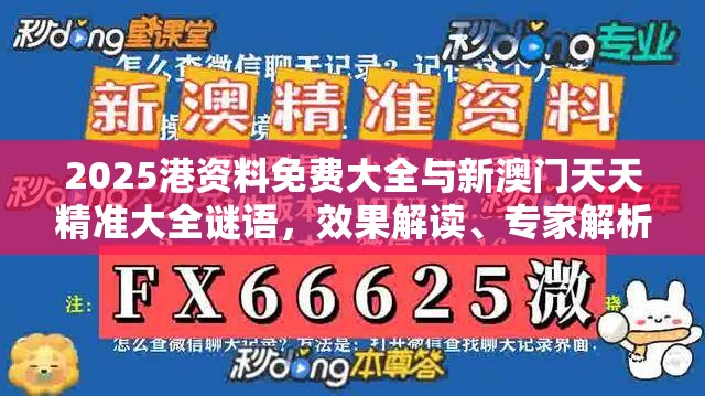 2025港资料免费大全与新澳门天天精准大全谜语，效果解读、专家解析解释与落实