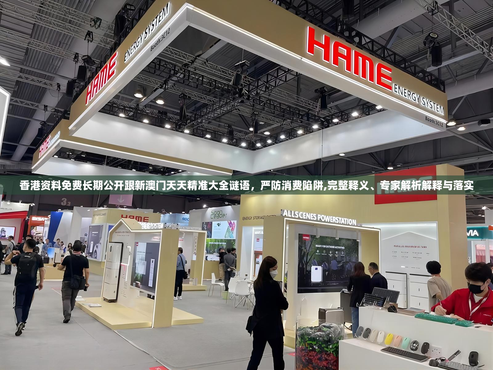 香港资料免费长期公开跟新澳门天天精准大全谜语，严防消费陷阱,完整释义、专家解析解释与落实